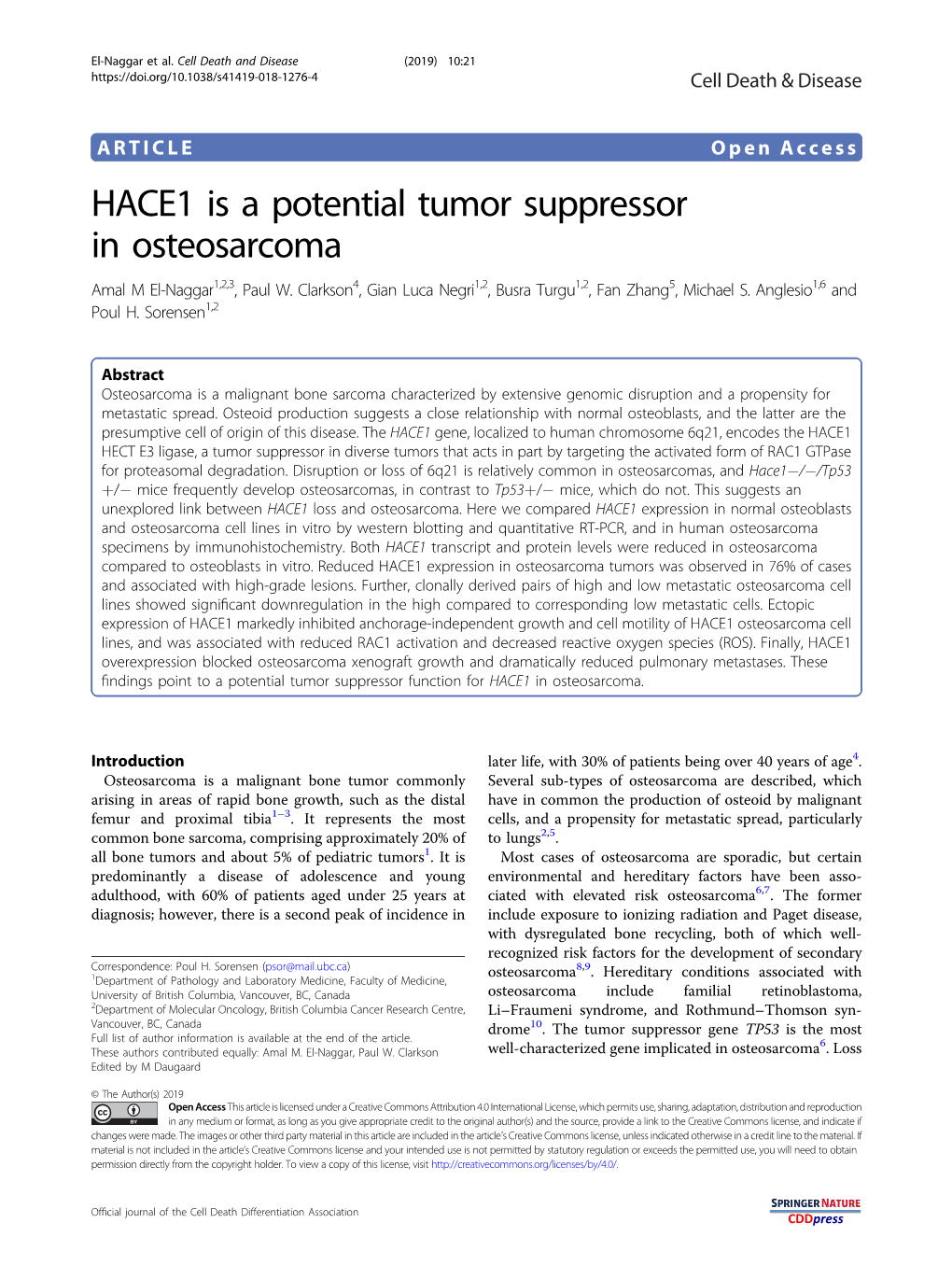 HACE1 Is a Potential Tumor Suppressor in Osteosarcoma Amal M El-Naggar1,2,3,Paulw.Clarkson4,Gianlucanegri1,2, Busra Turgu1,2, Fan Zhang5, Michael S