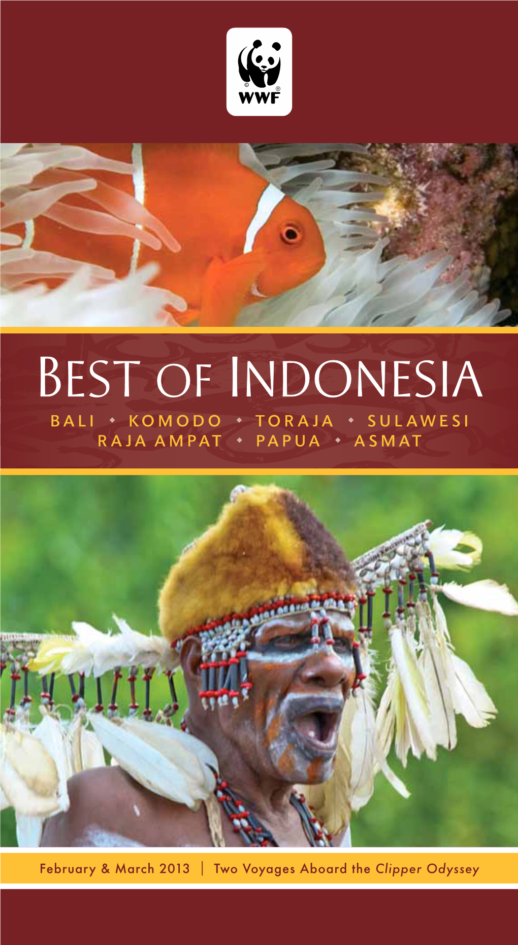 BEST of INDONESIA Wildlife and Enjoy World-Class Snorkeling and Diving