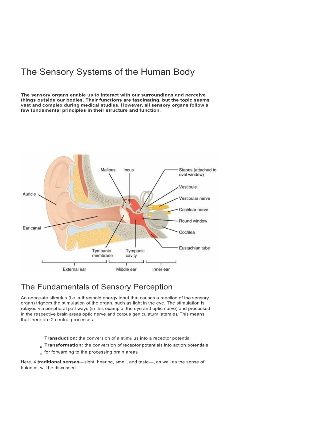 The Sensory Systems of the Human Body