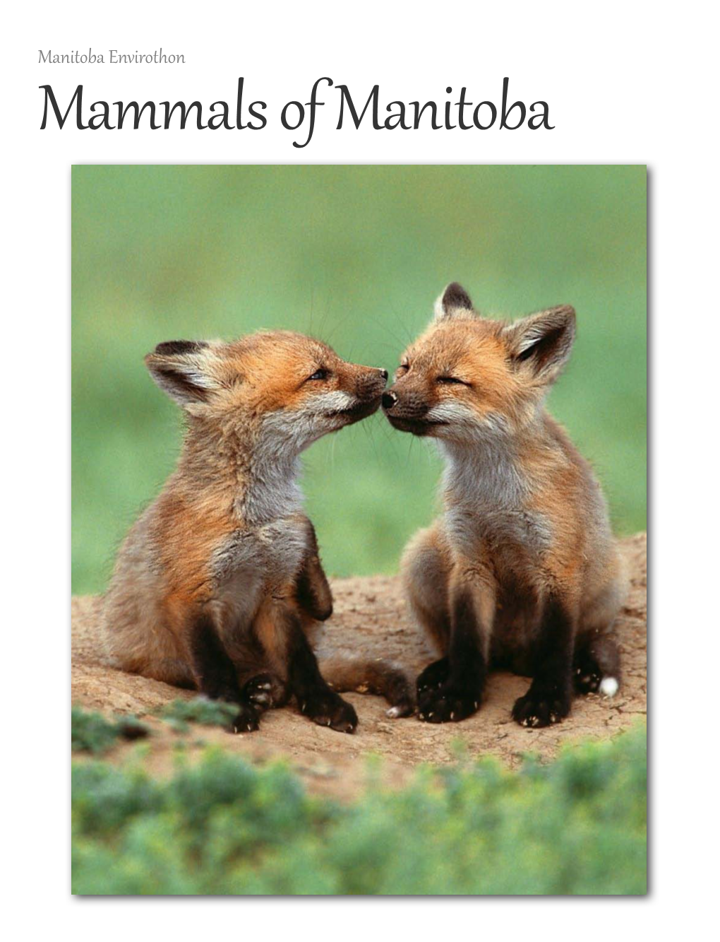 Manitoba Envirothon – Mammals of Manitoba