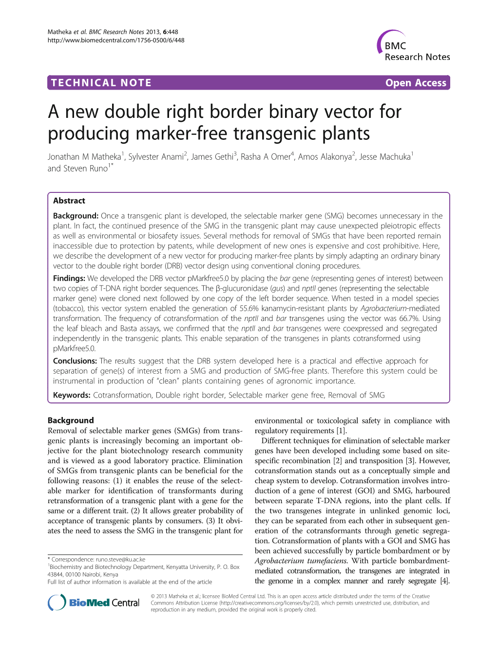 A New Double Right Border Binary Vector for Producing Marker-Free