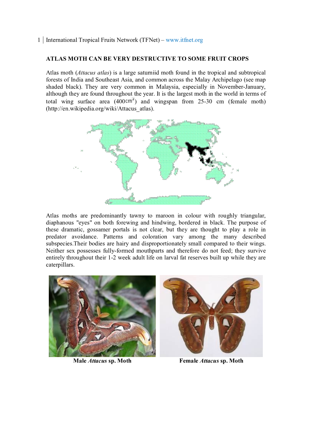 1 International Tropical Fruits Network (Tfnet) – ATLAS