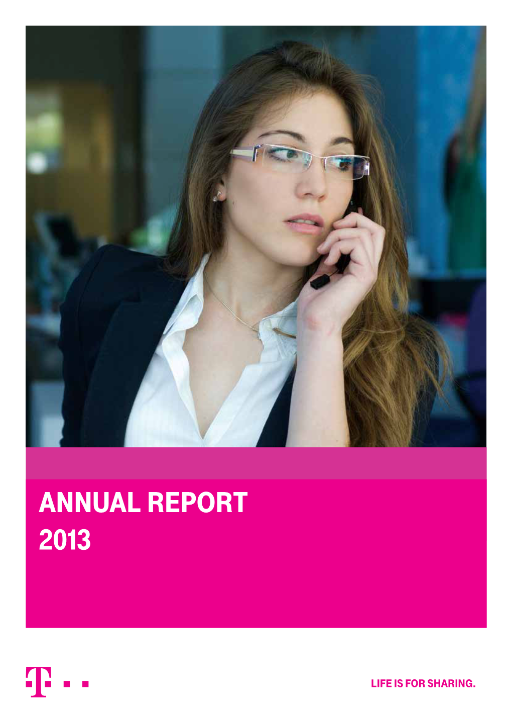 Annual Report 2013