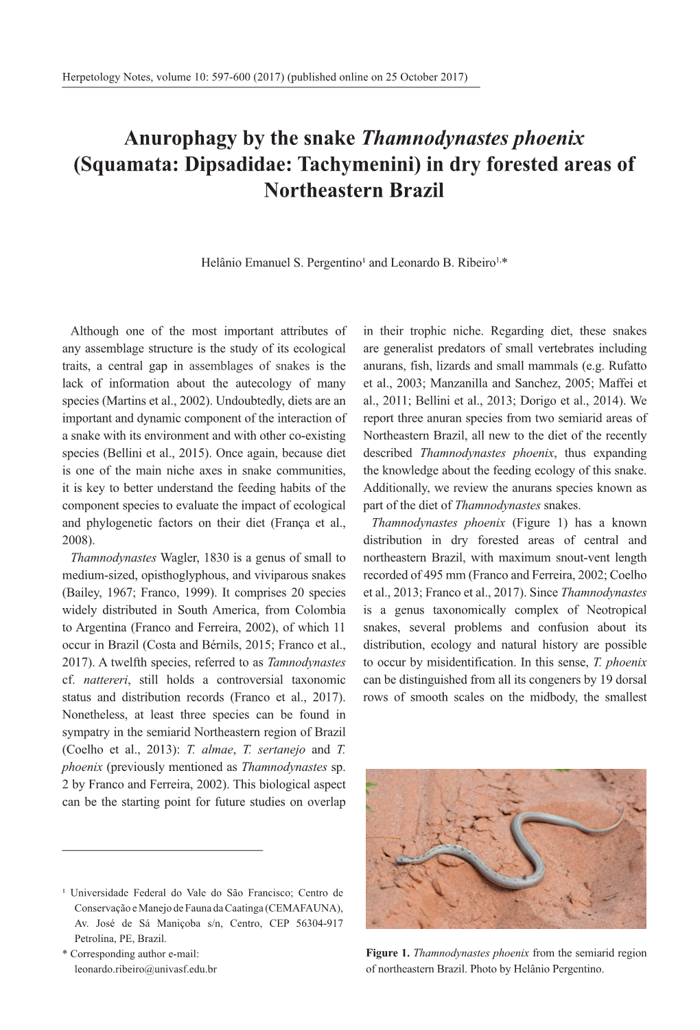 Anurophagy by the Snake Thamnodynastes Phoenix (Squamata: Dipsadidae: Tachymenini) in Dry Forested Areas of Northeastern Brazil