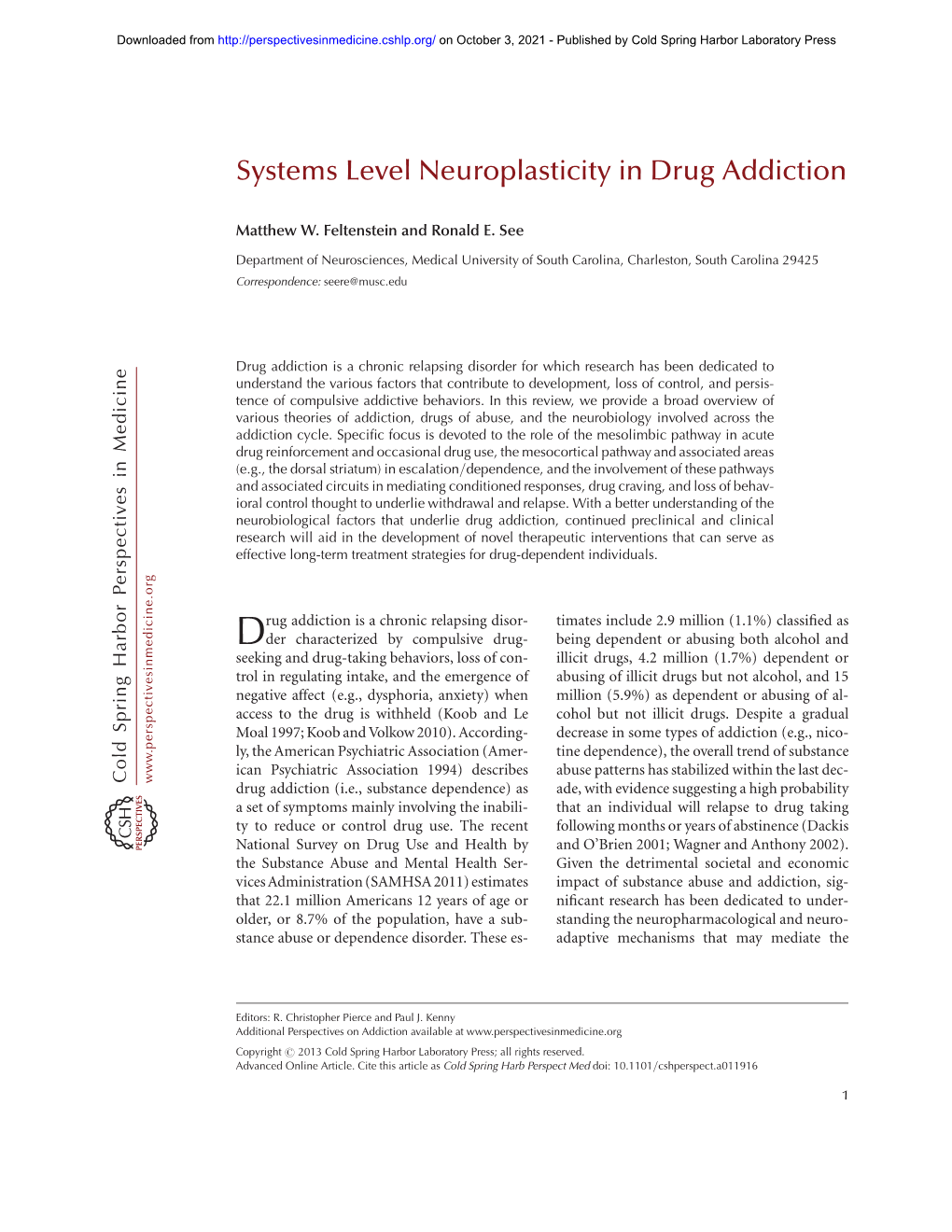 Systems Level Neuroplasticity in Drug Addiction