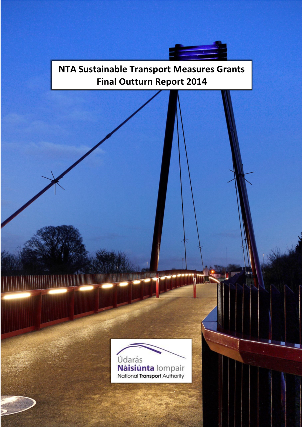 NTA Sustainable Transport Measures Grants Final Outturn Report 2014