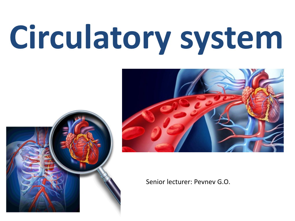 Circulatory System