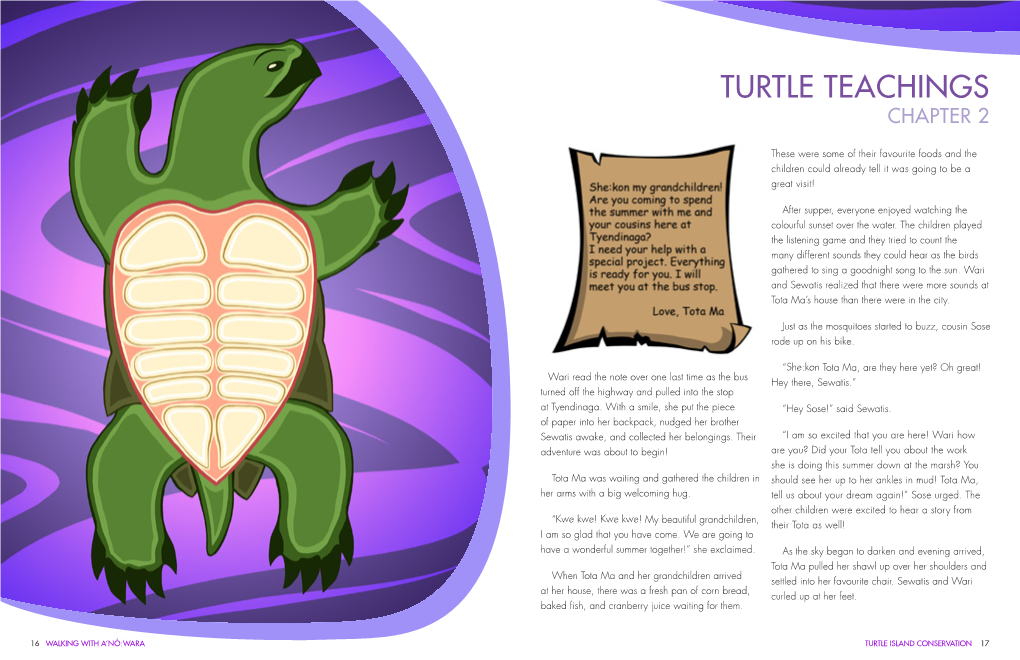 Turtle Teachings Chapter 2