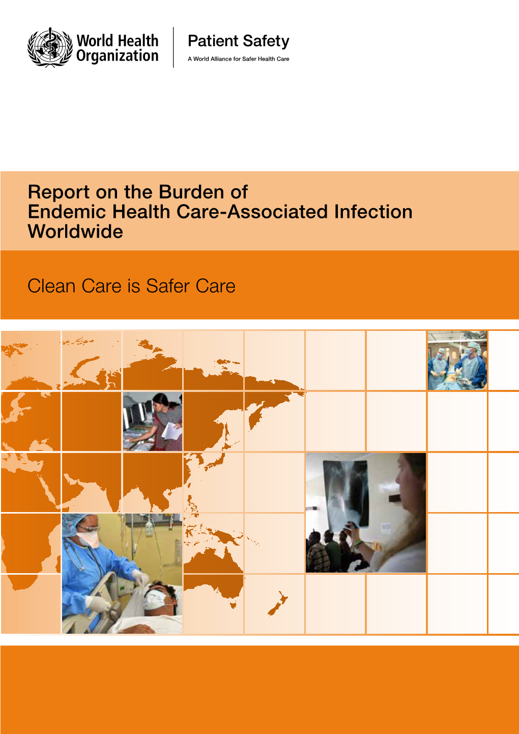 Report on the Burden of Endemic Health Care-Associated Infection Worldwide