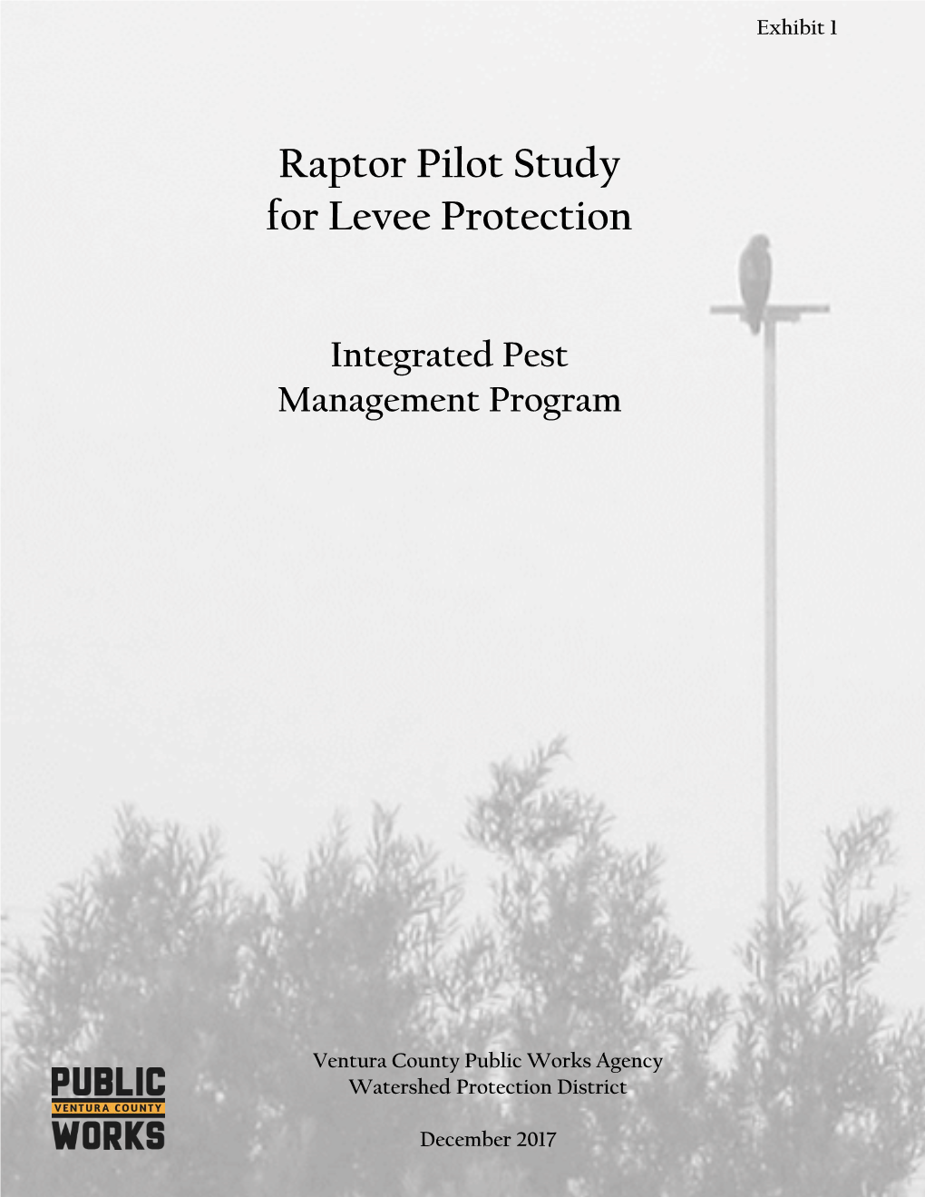 Raptor Pilot Study for Levee Protection