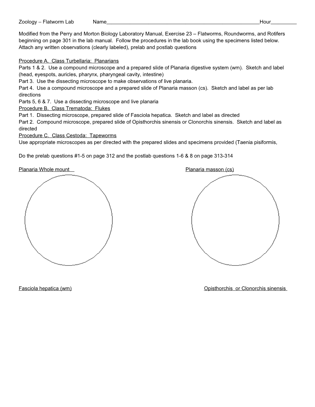 Zoology Flatworm Lab Name Hour