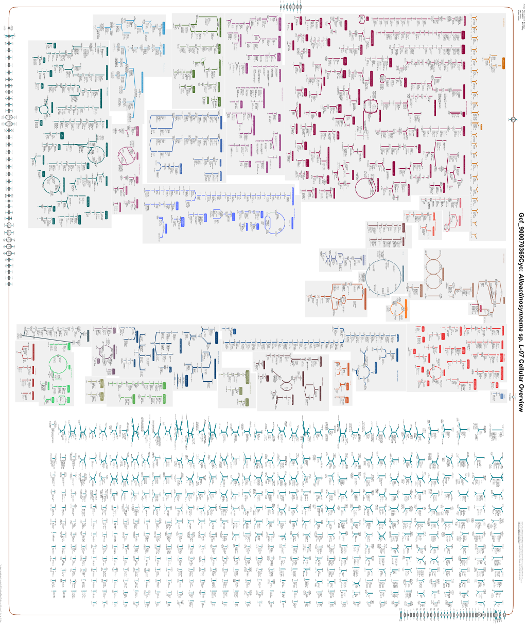 Generated by SRI International Pathway Tools Version 25.0, Authors S