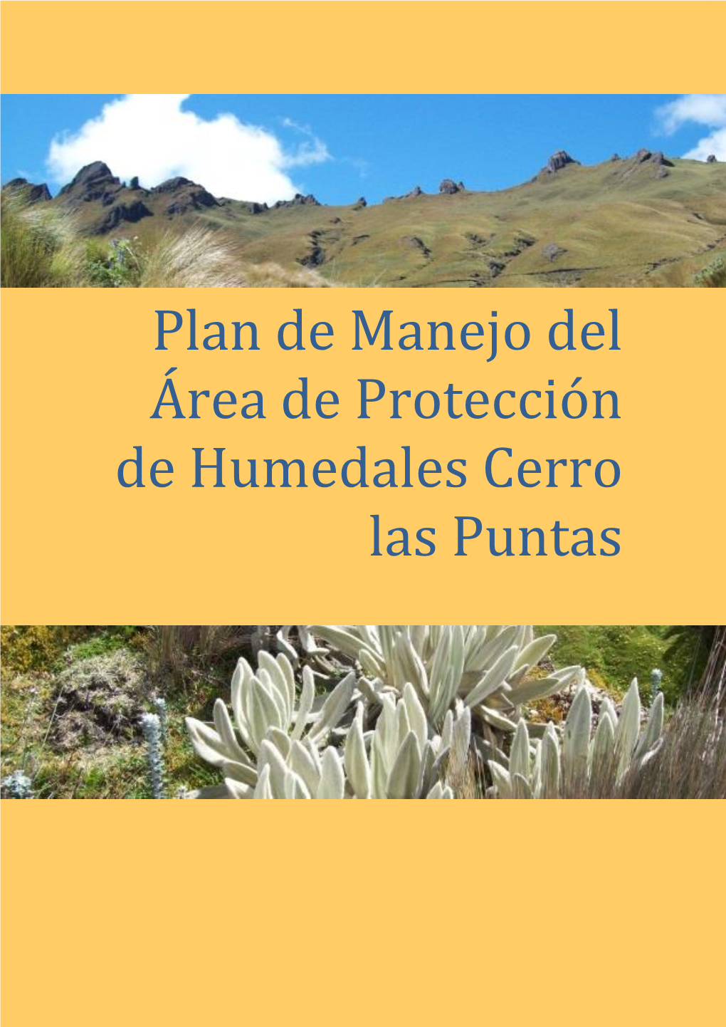 Plan De Manejo Cerro Las Puntas