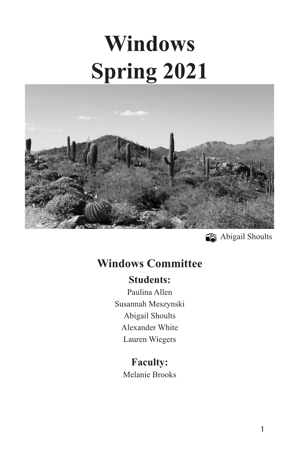 Windows Spring 2021