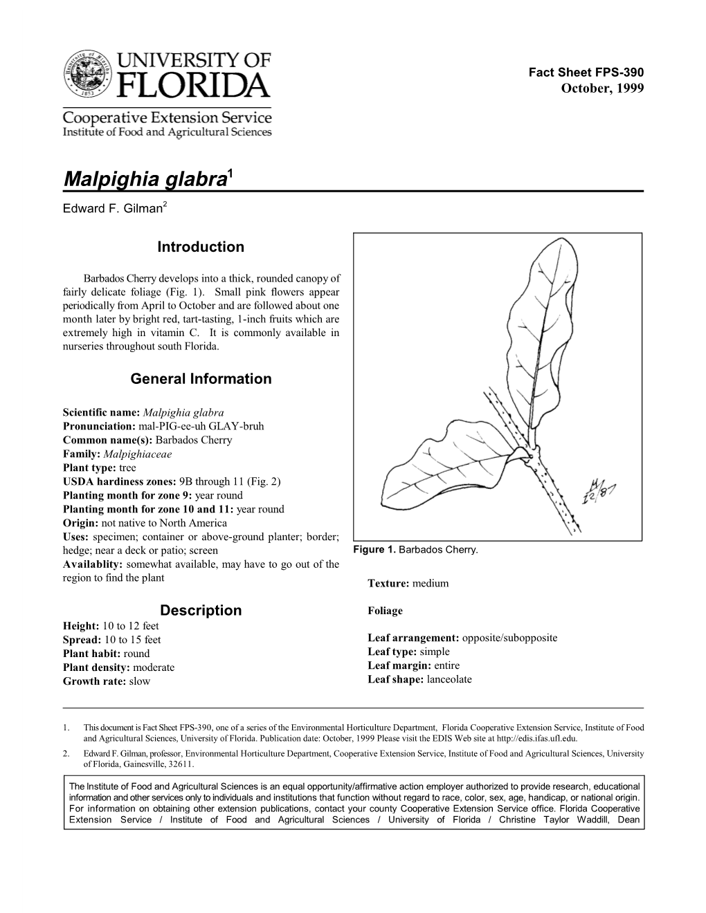 Malpighia Glabra1