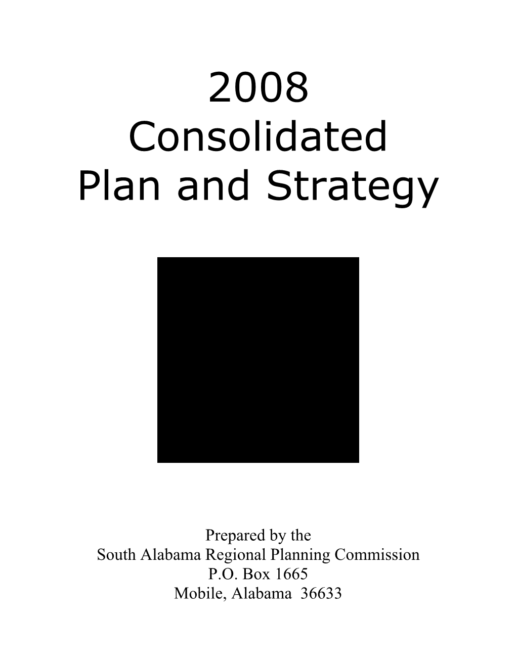 2008 Consolidated Plan and Strategy