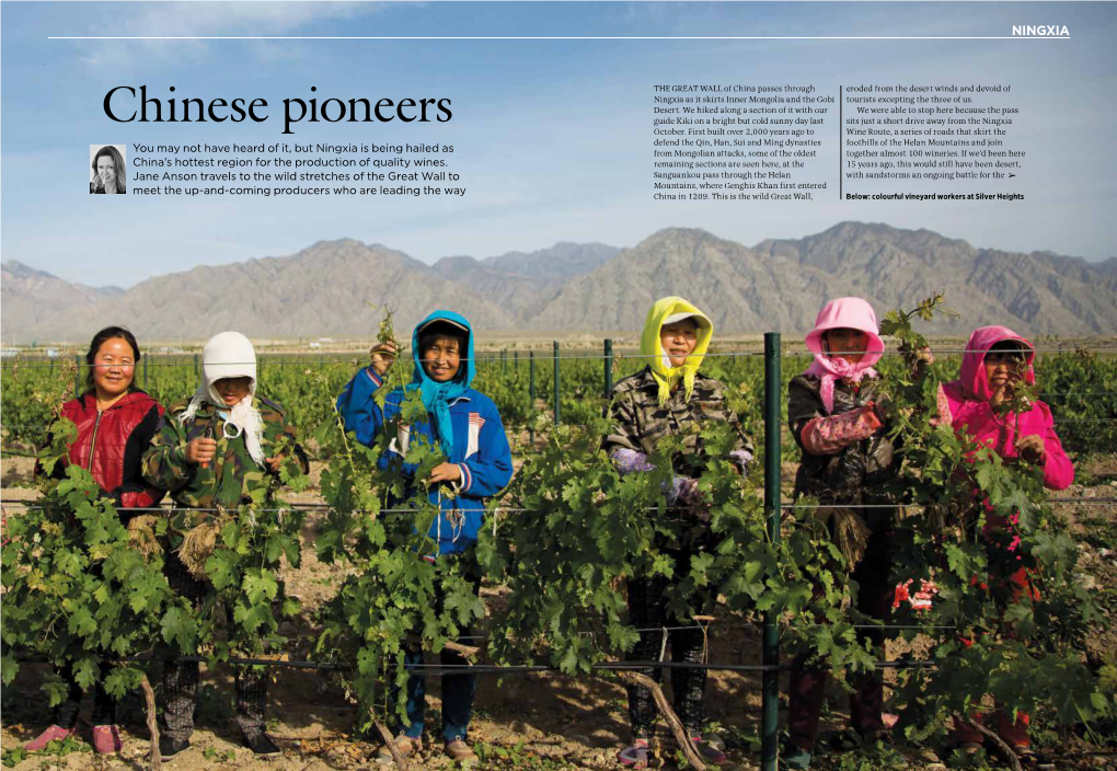 Chinese Pioneers Guide Kiki on a Bright but Cold Sunny Day Last Sits Just a Short Drive Away from the Ningxia October