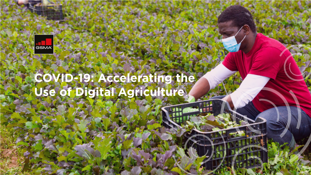 COVID-19: Accelerating the Use of Digital Agriculture the GSMA Agritech Programme