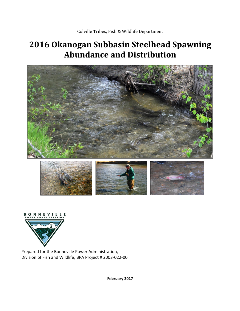 2016 Okanogan Subbasin Steelhead Spawning Abundance and Distribution