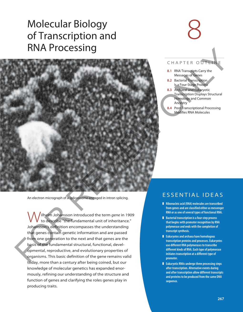 Molecular Biology of Transcription and RNA Processing