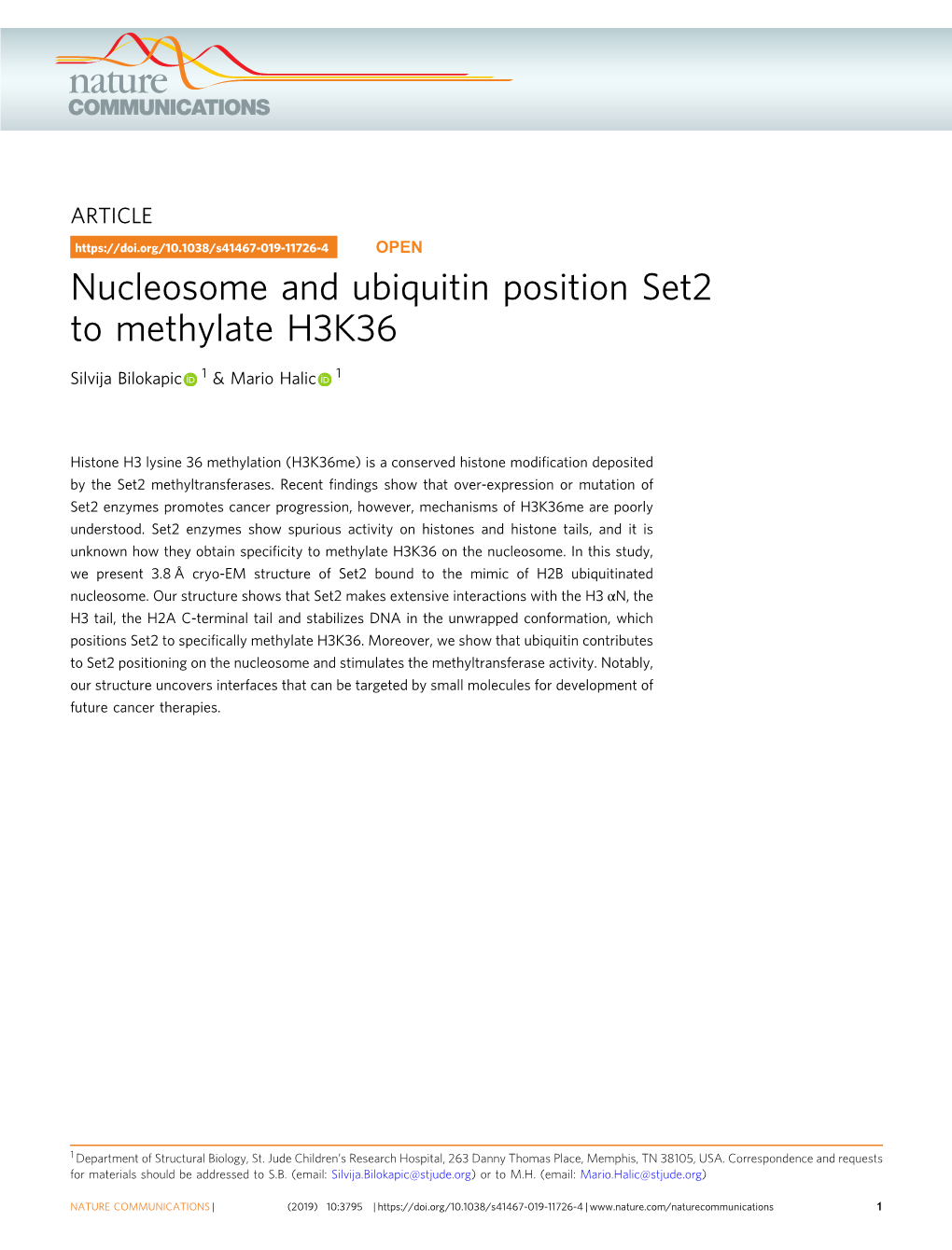 Nucleosome and Ubiquitin Position Set2 to Methylate H3K36