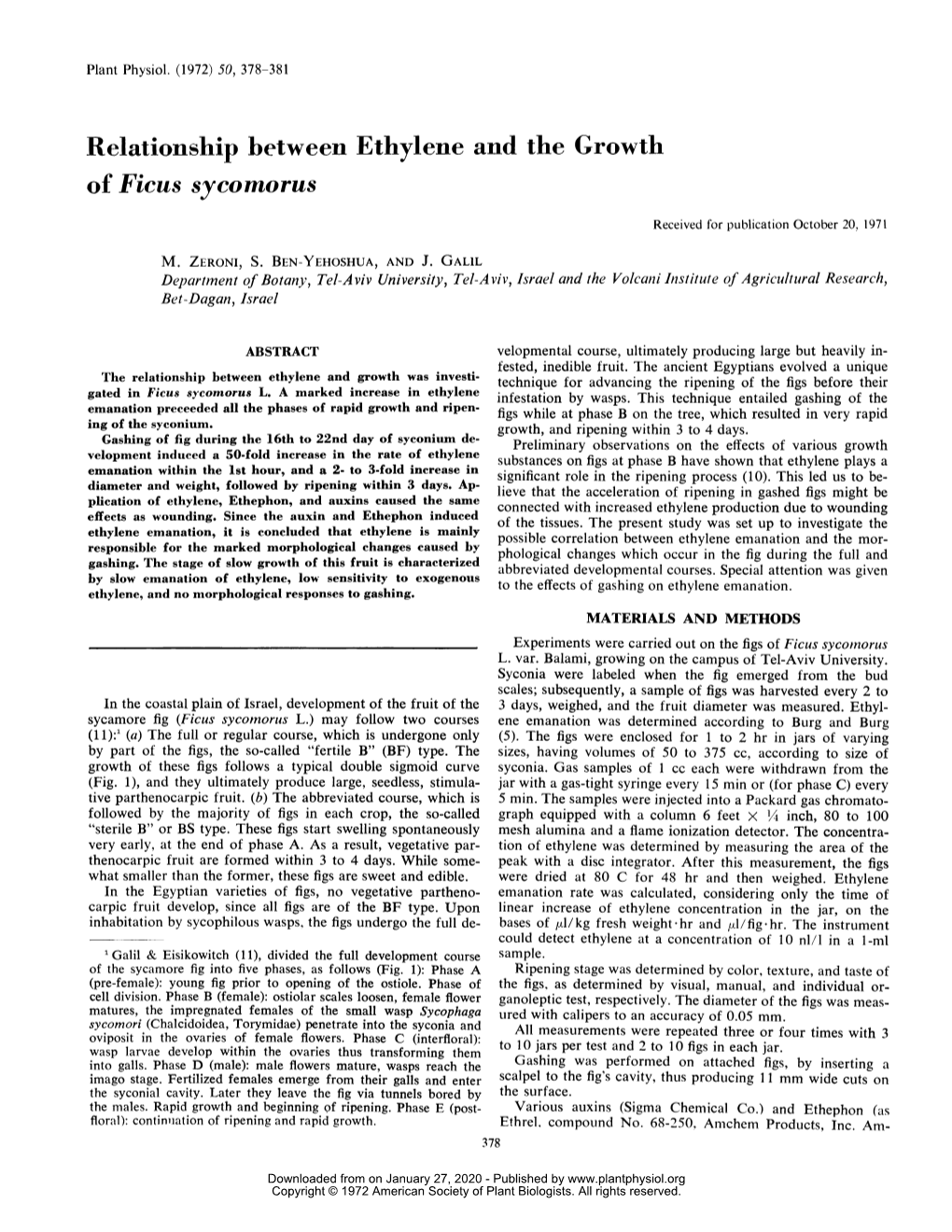 Relationship Between Ethylene and the Growth of Ficus Sycomorus