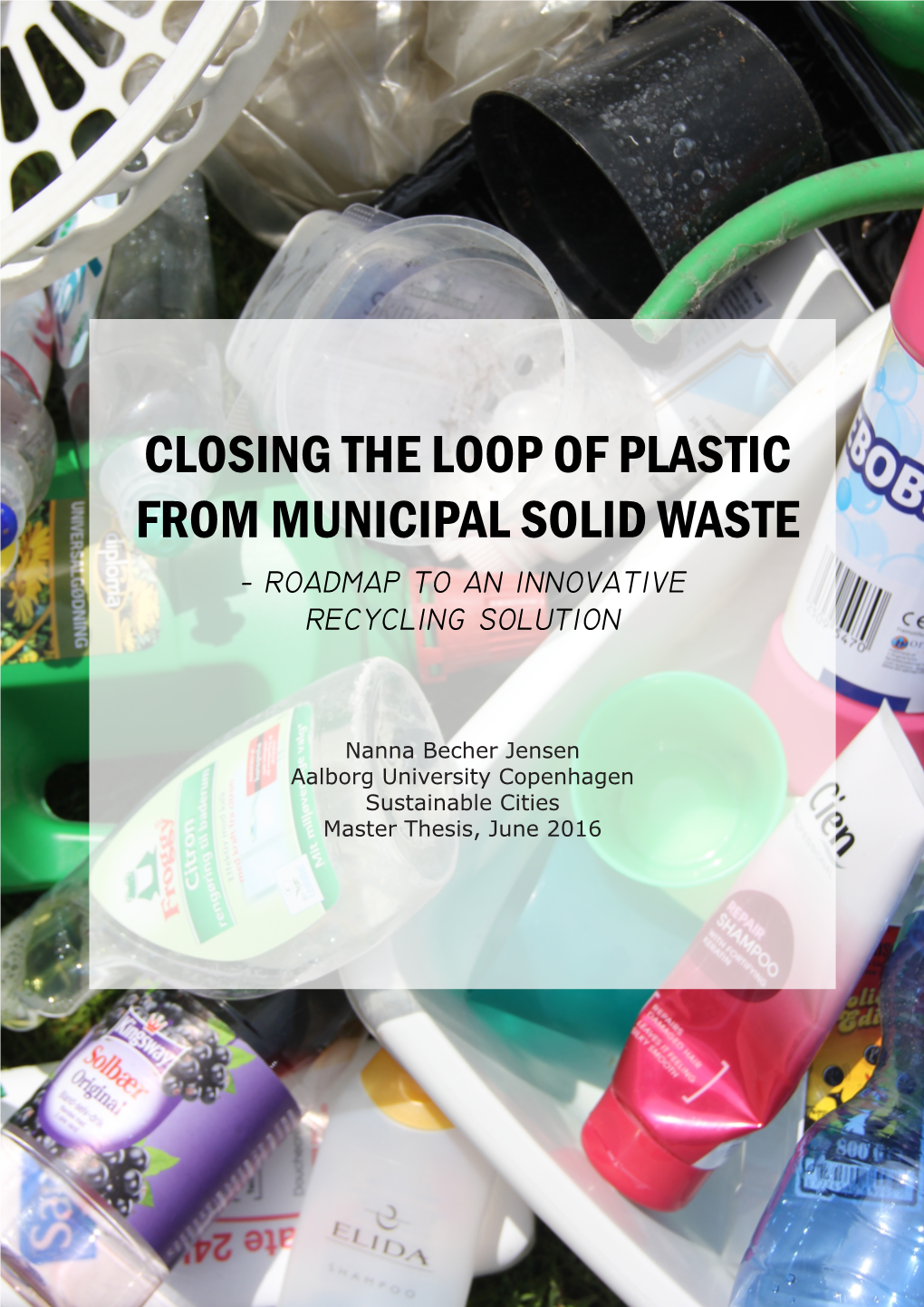 Closing the Loop of Plastic from Municipal Solid Waste - Roadmap to an Innovative Recycling Solution