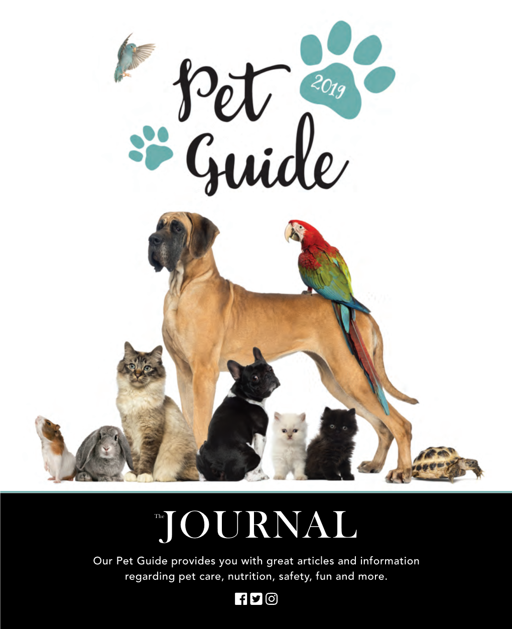 Pet Guide Provides You with Great Articles and Information Regarding Pet Care, Nutrition, Safety, Fun and More