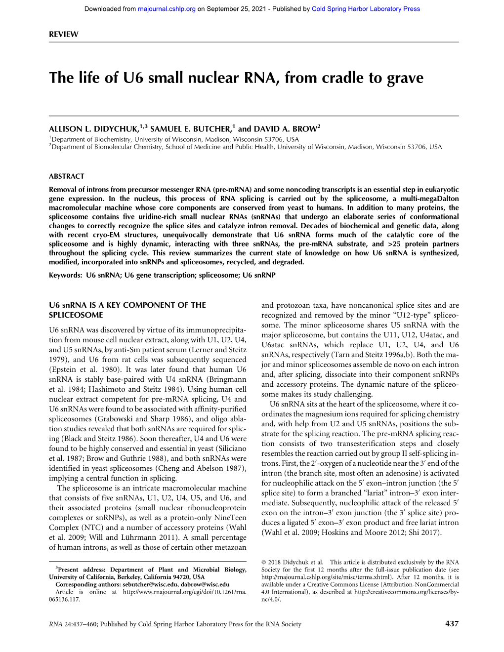 The Life of U6 Small Nuclear RNA, from Cradle to Grave