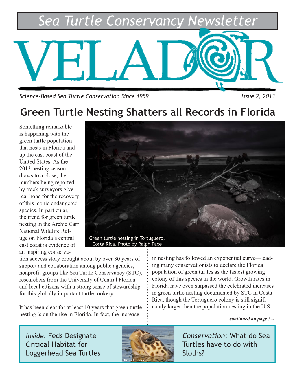 Sea Turtle Conservancy Newsletter