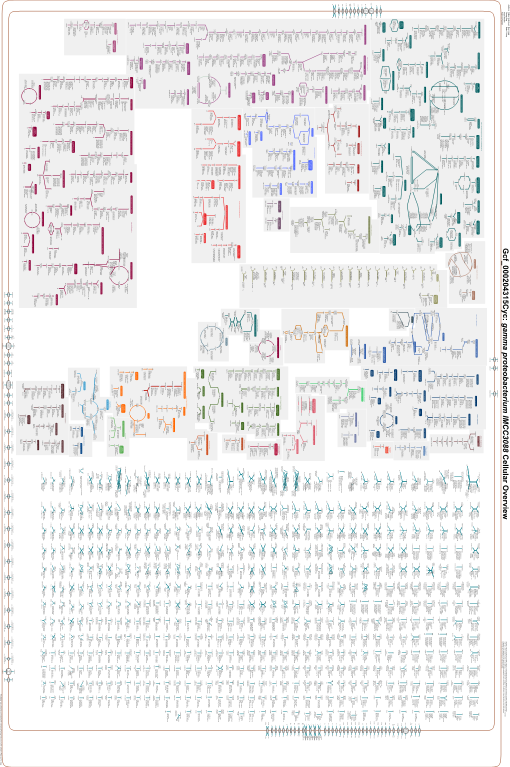 Generated by SRI International Pathway Tools Version 25.0 on Sun