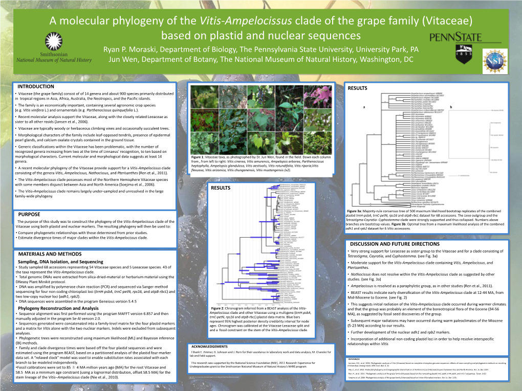 A Molecular Phylogeny of the Vitis-Ampelocissus Clade of the Grape Family (Vitaceae) Based on Plastid and Nuclear Sequences Ryan P