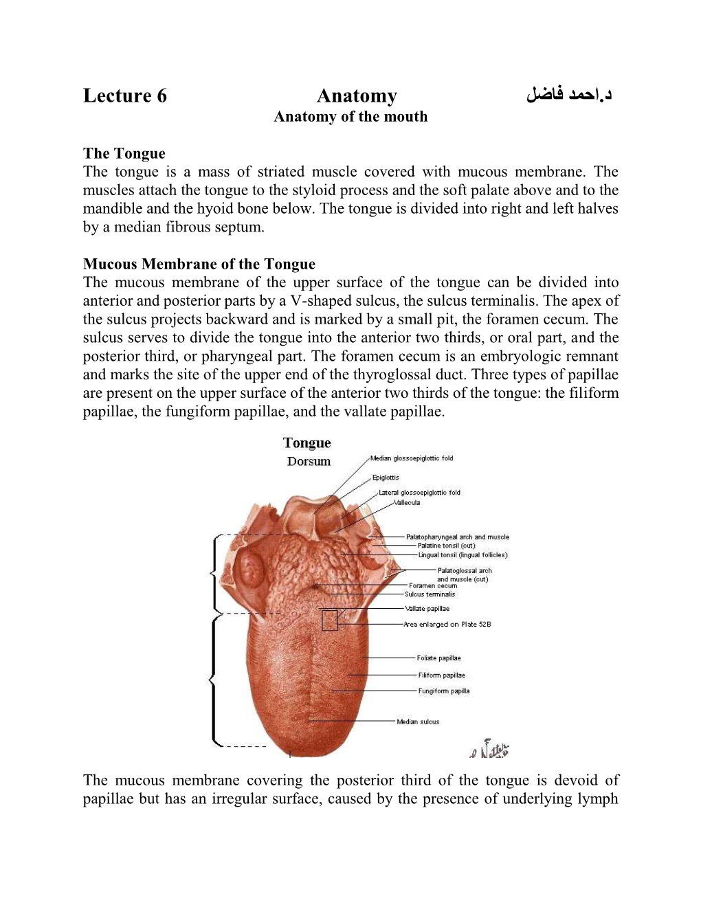 Lecture 6 Anatomy احمد فاضل د
