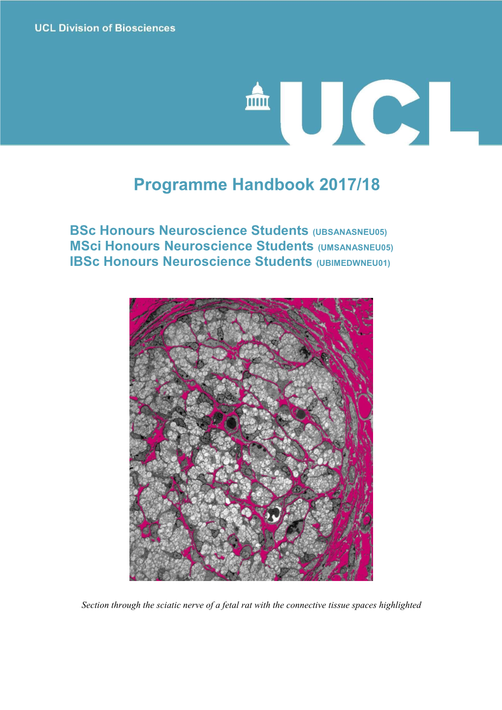 Bsc Honours Neuroscience Students (UBSANASNEU05) Msci Honours Neuroscience Students (UMSANASNEU05) Ibsc Honours Neuroscience Students (UBIMEDWNEU01)