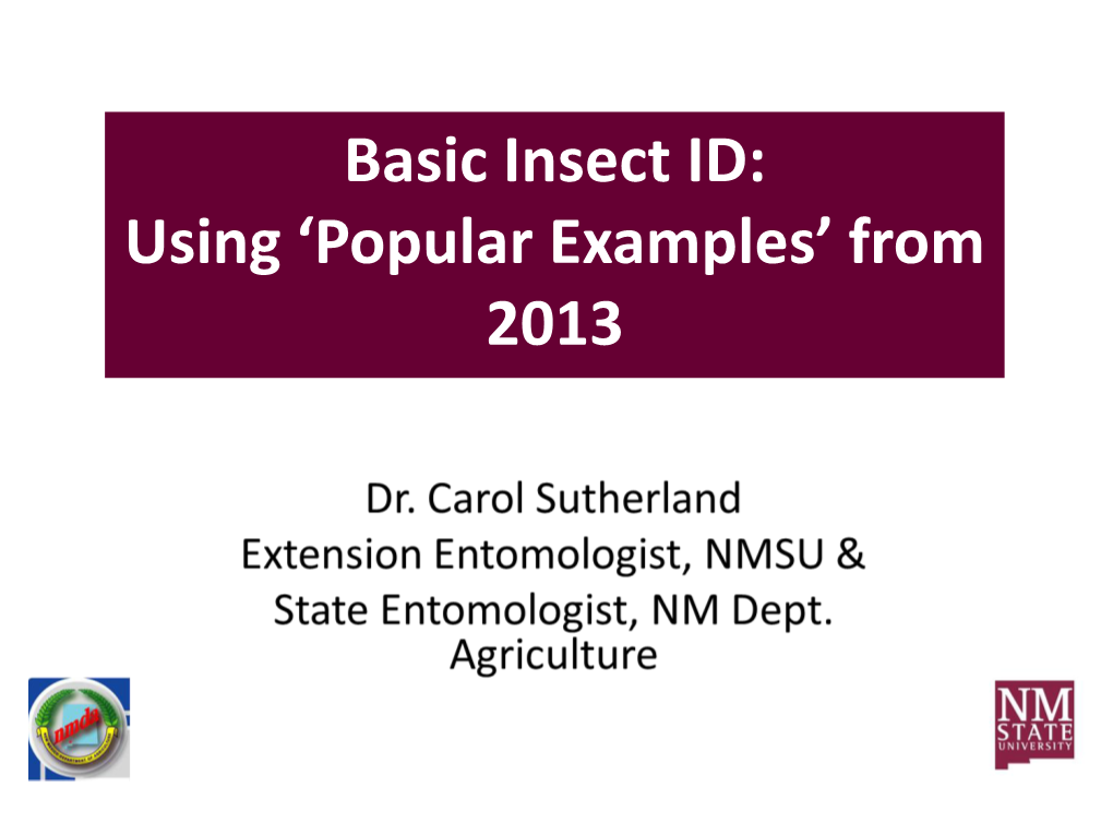 Basic Insect ID: Using 'Popular Examples' from 2013