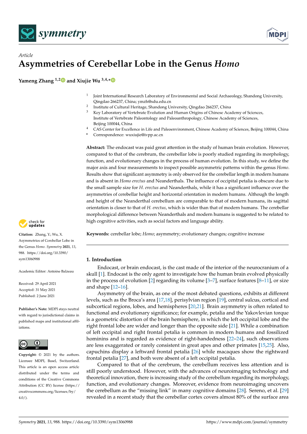 Asymmetries of Cerebellar Lobe in the Genus Homo