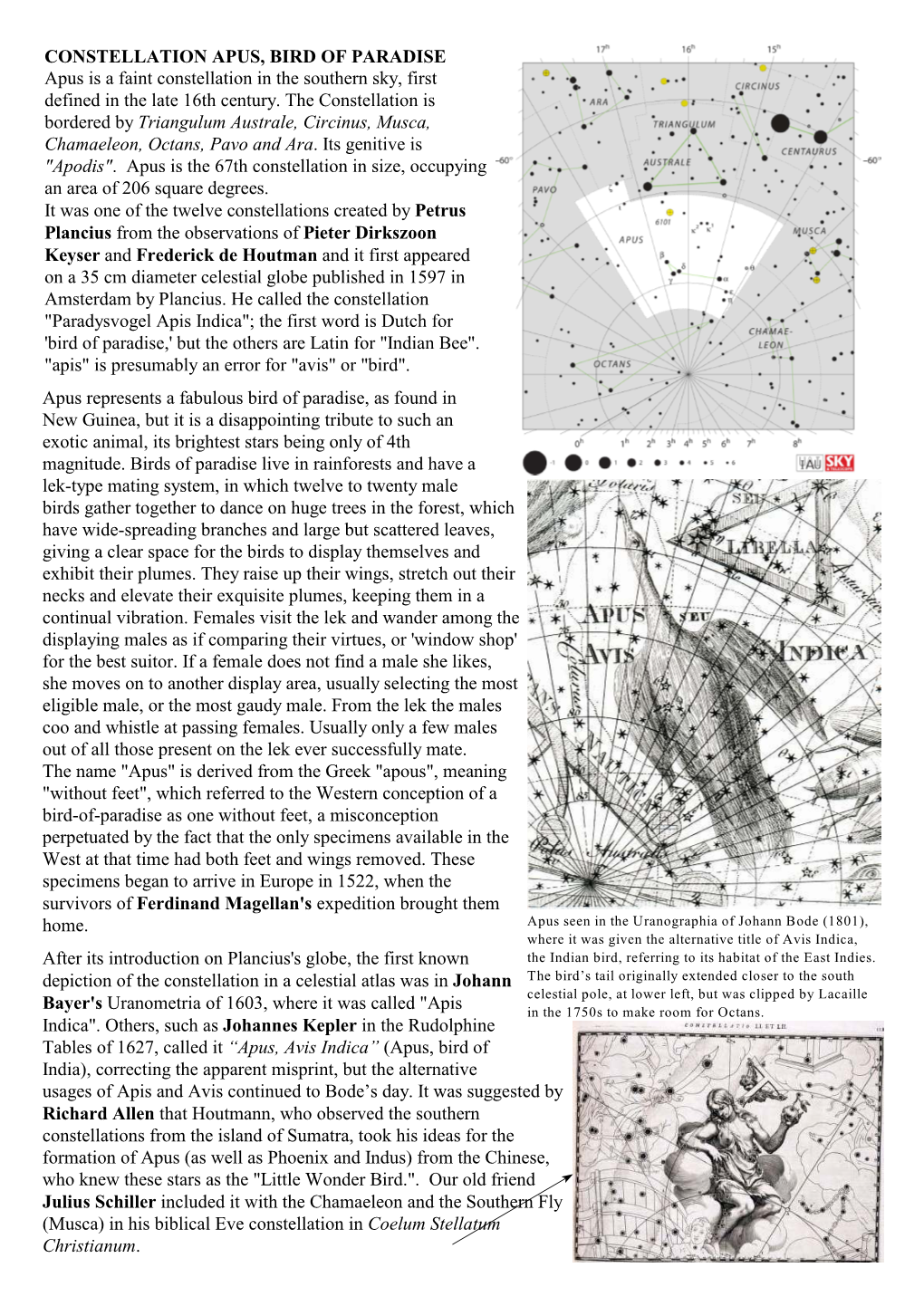 CONSTELLATION APUS, BIRD of PARADISE Apus Is a Faint Constellation in the Southern Sky, First Defined in the Late 16Th Century