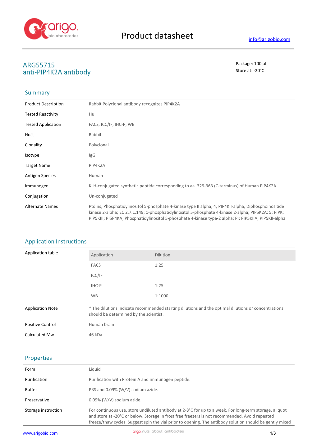 Anti-PIP4K2A Antibody (ARG55715)