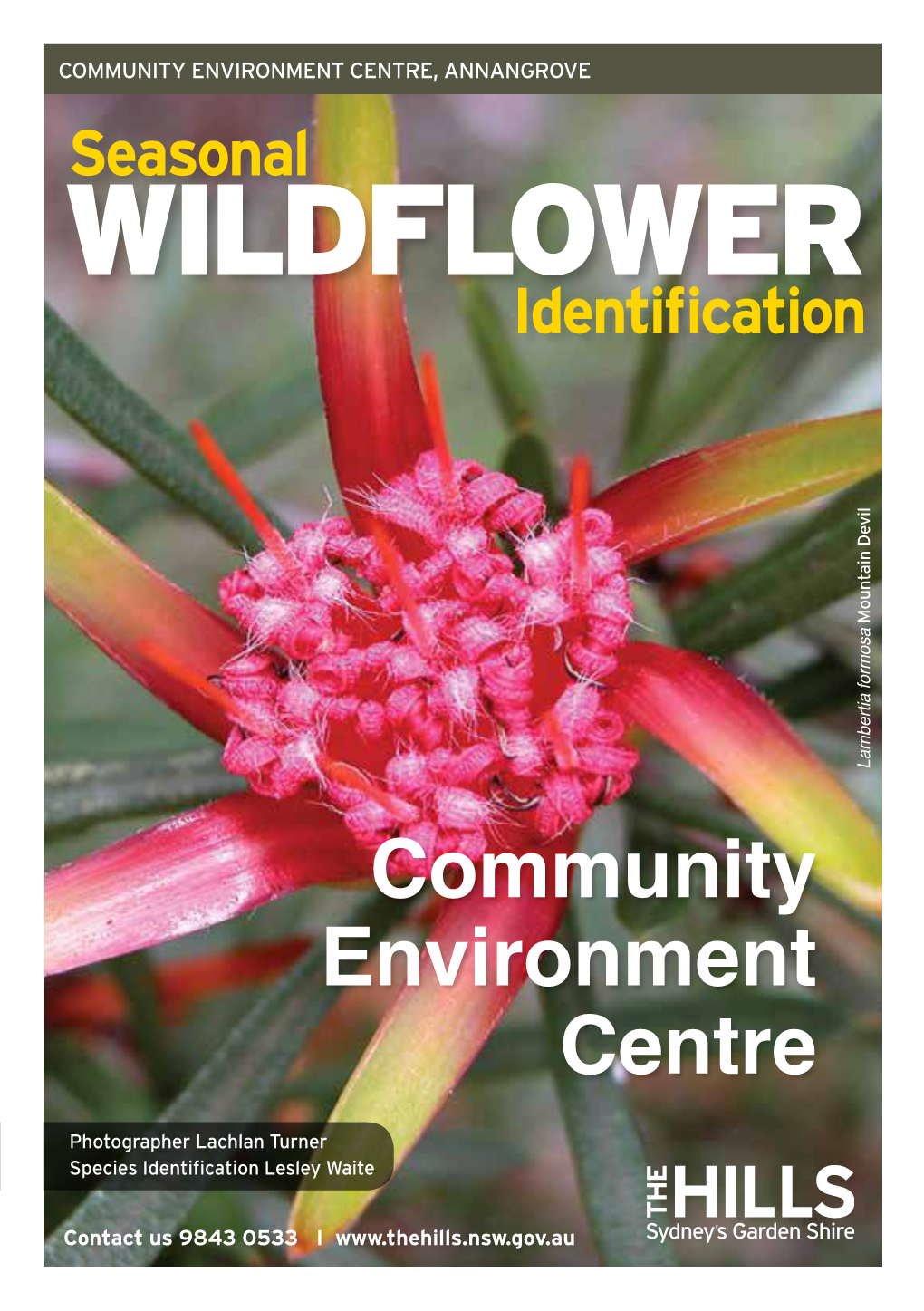Community Environment Centre Seasonal Wildflower Identification
