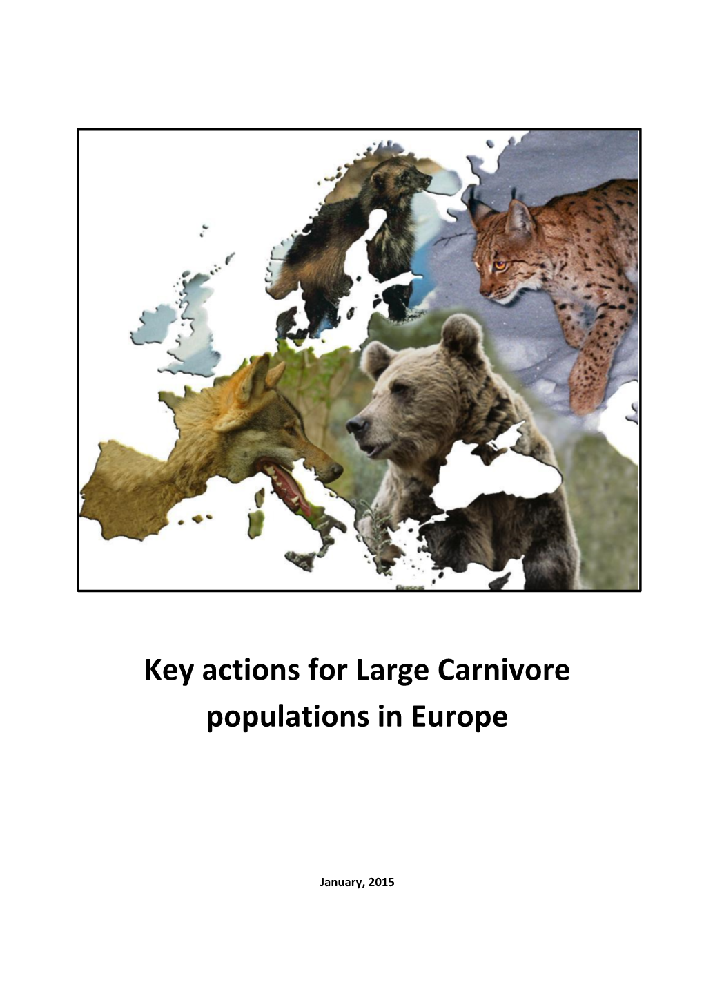 Key Actions for Large Carnivore Populations in Europe