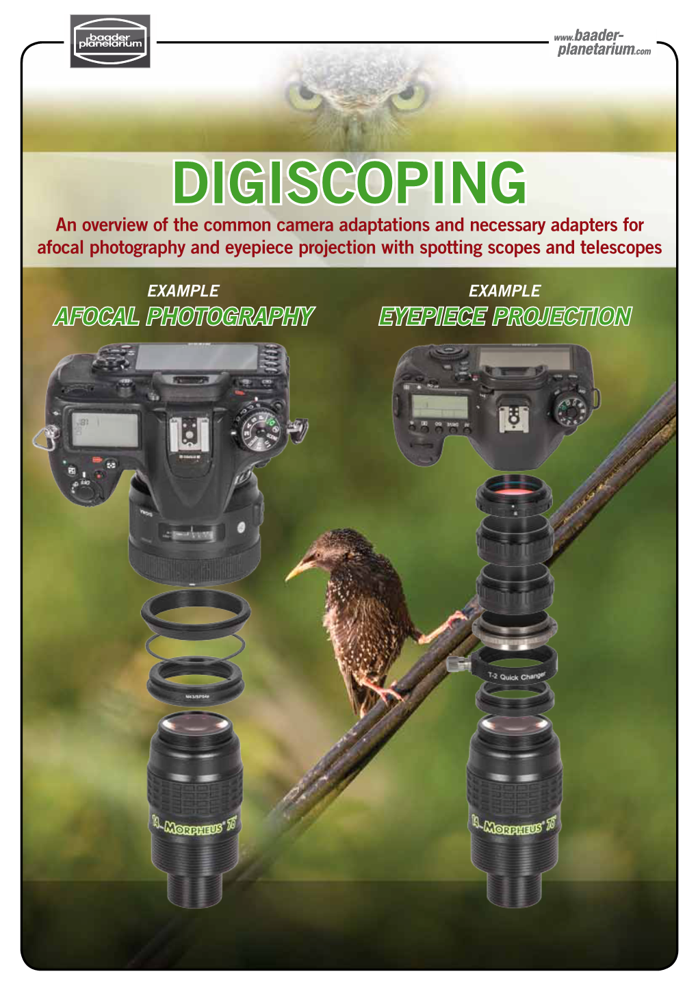 Digiscoping an Overview of the Common Camera Adaptations and Necessary Adapters for Afocal Photography and Eyepiece Projection with Spotting Scopes and Telescopes