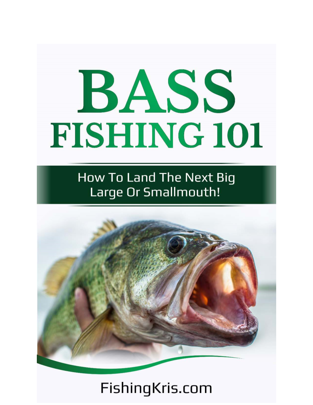 Bass Fishing 101: How to Catch the Next Big One