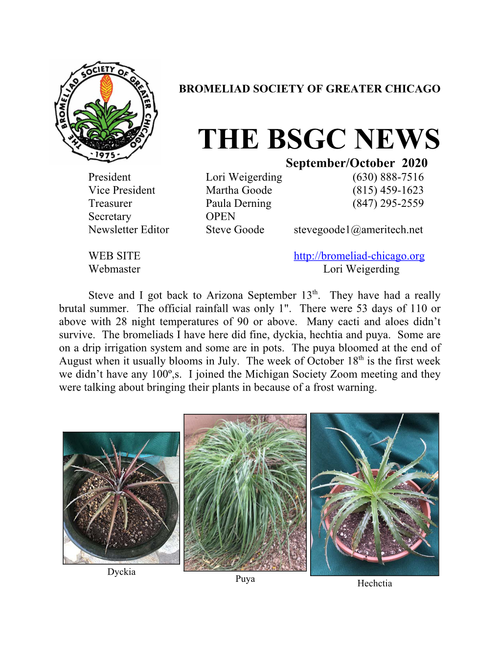 The Bsgc News