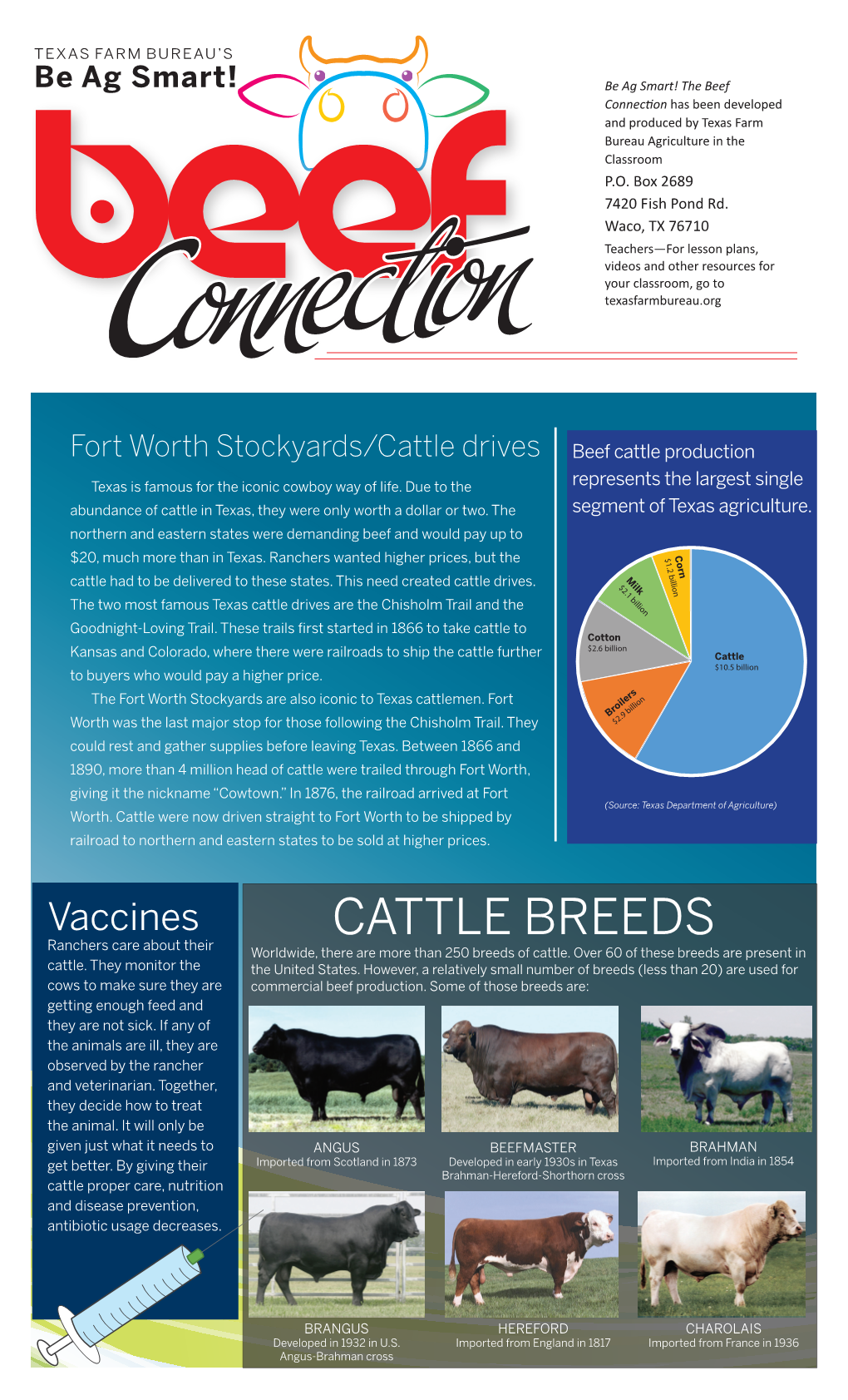 CATTLE BREEDS Ranchers Care About Their Worldwide, There Are More Than 250 Breeds of Cattle