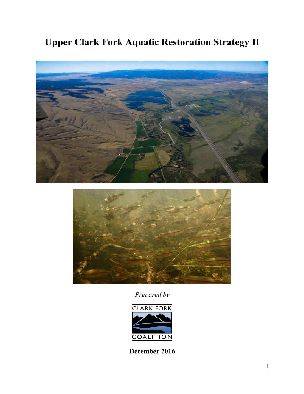 Upper Clark Fork Aquatic Restoration Strategy II