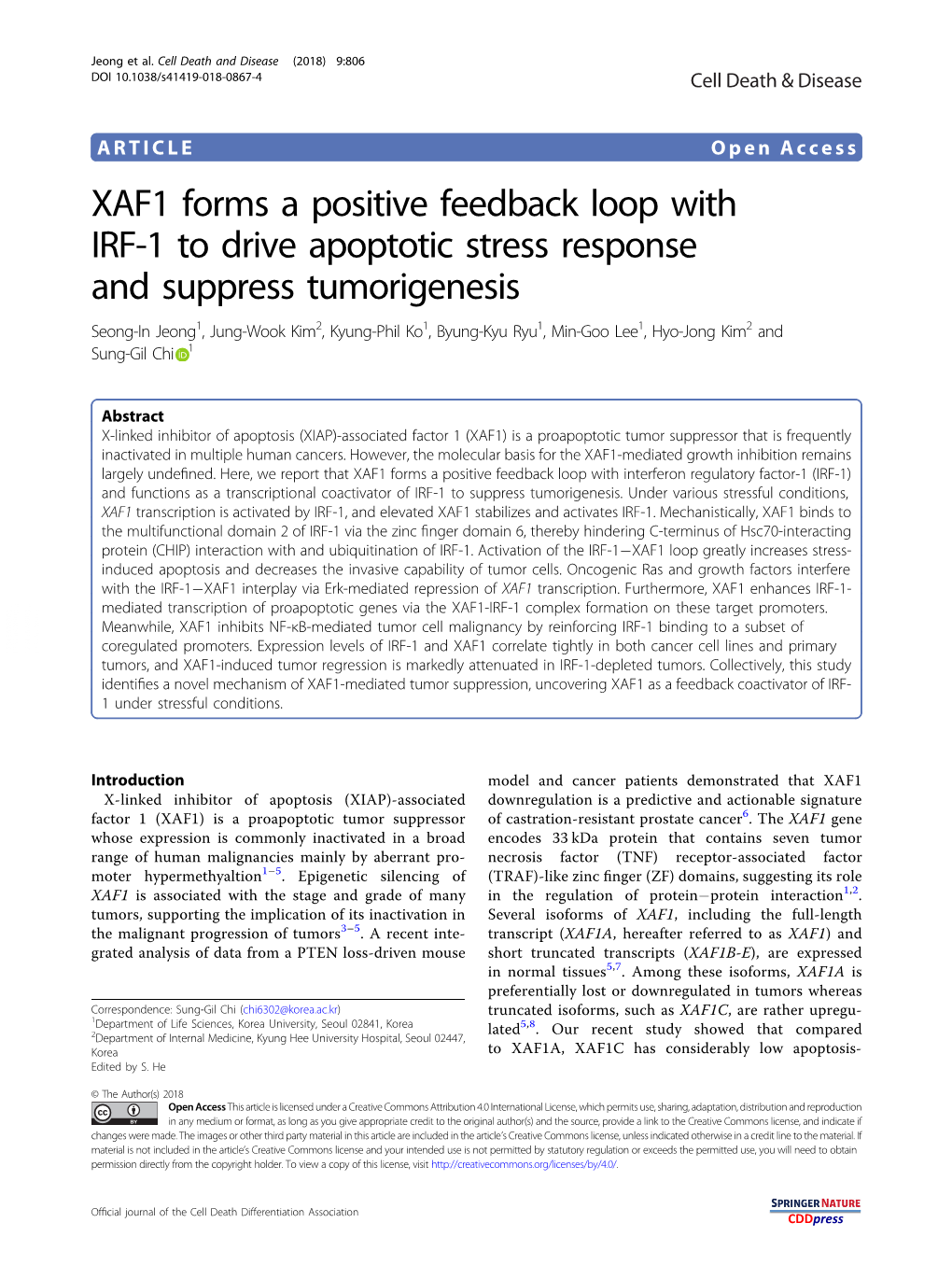 XAF1 Forms a Positive Feedback Loop with IRF-1 to Drive Apoptotic Stress