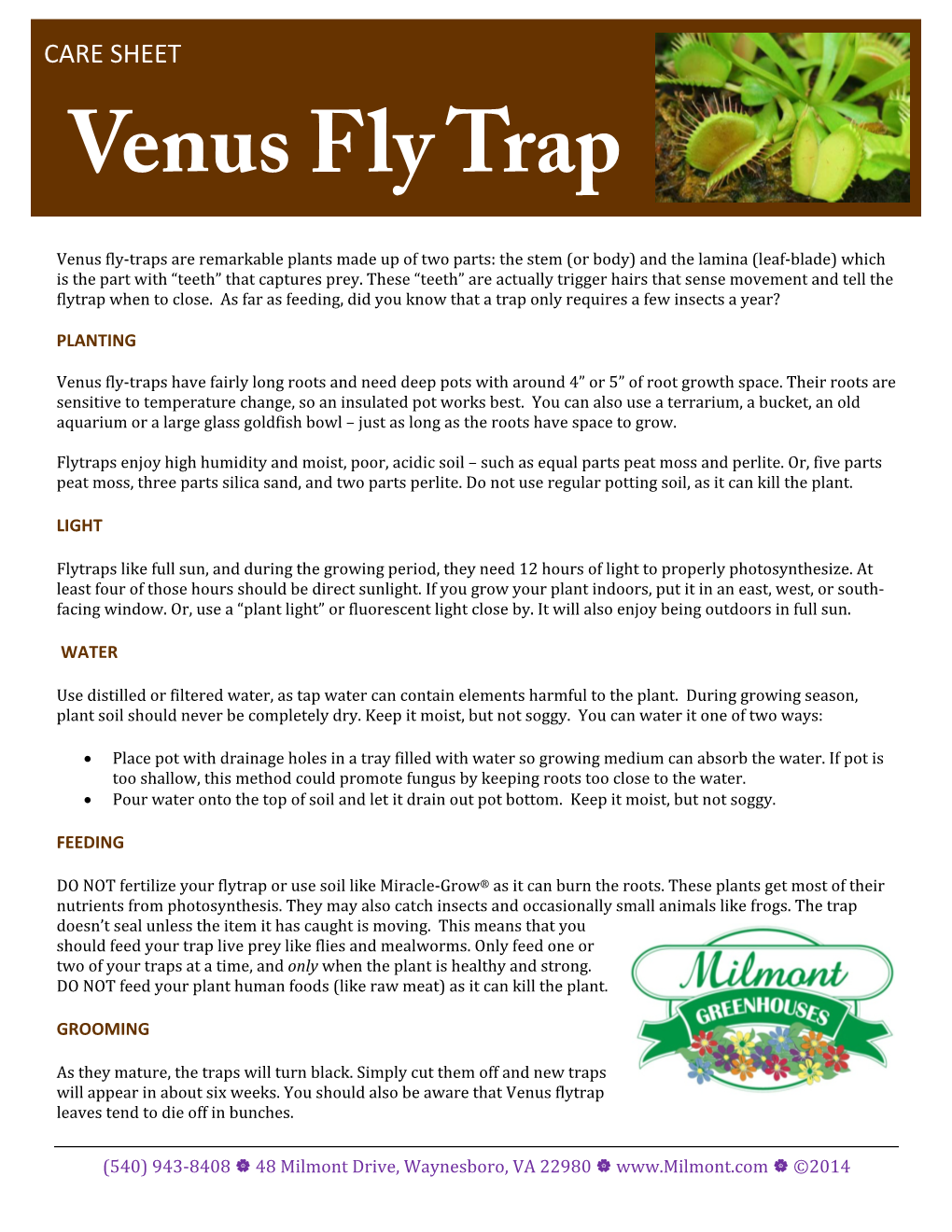Venus Fly Trap Isn't Very Pretty, and Many People Think It Is Dying During This Period