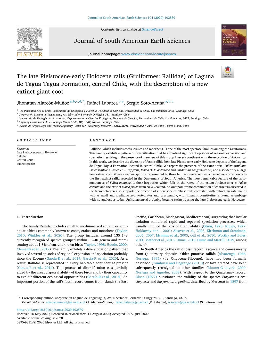 The Late Pleistocene-Early Holocene Rails (Gruiformes: Rallidae) of Laguna De Tagua Tagua Formation, Central Chile, with the Description of a New Extinct Giant Coot