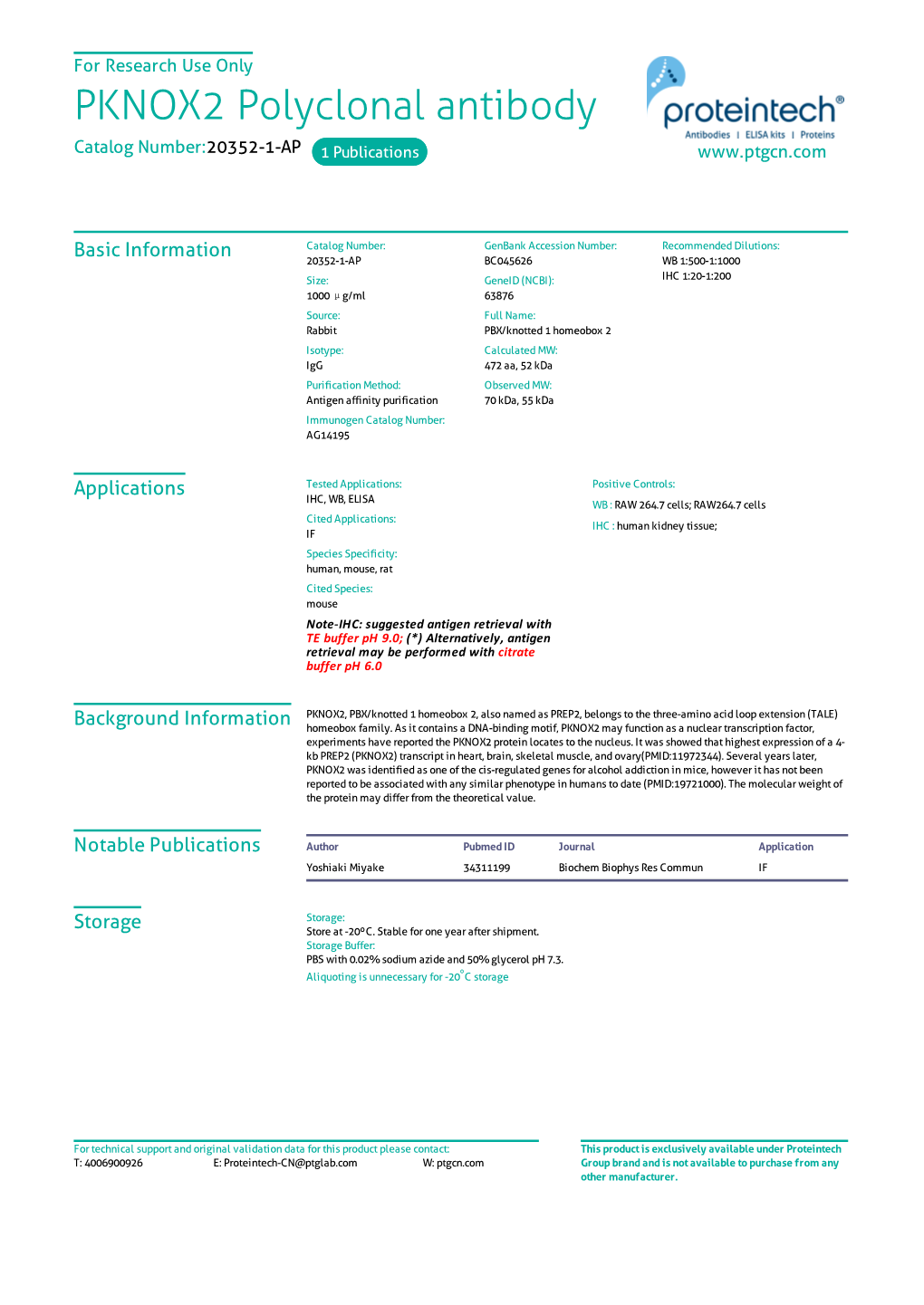 PKNOX2 Polyclonal Antibody