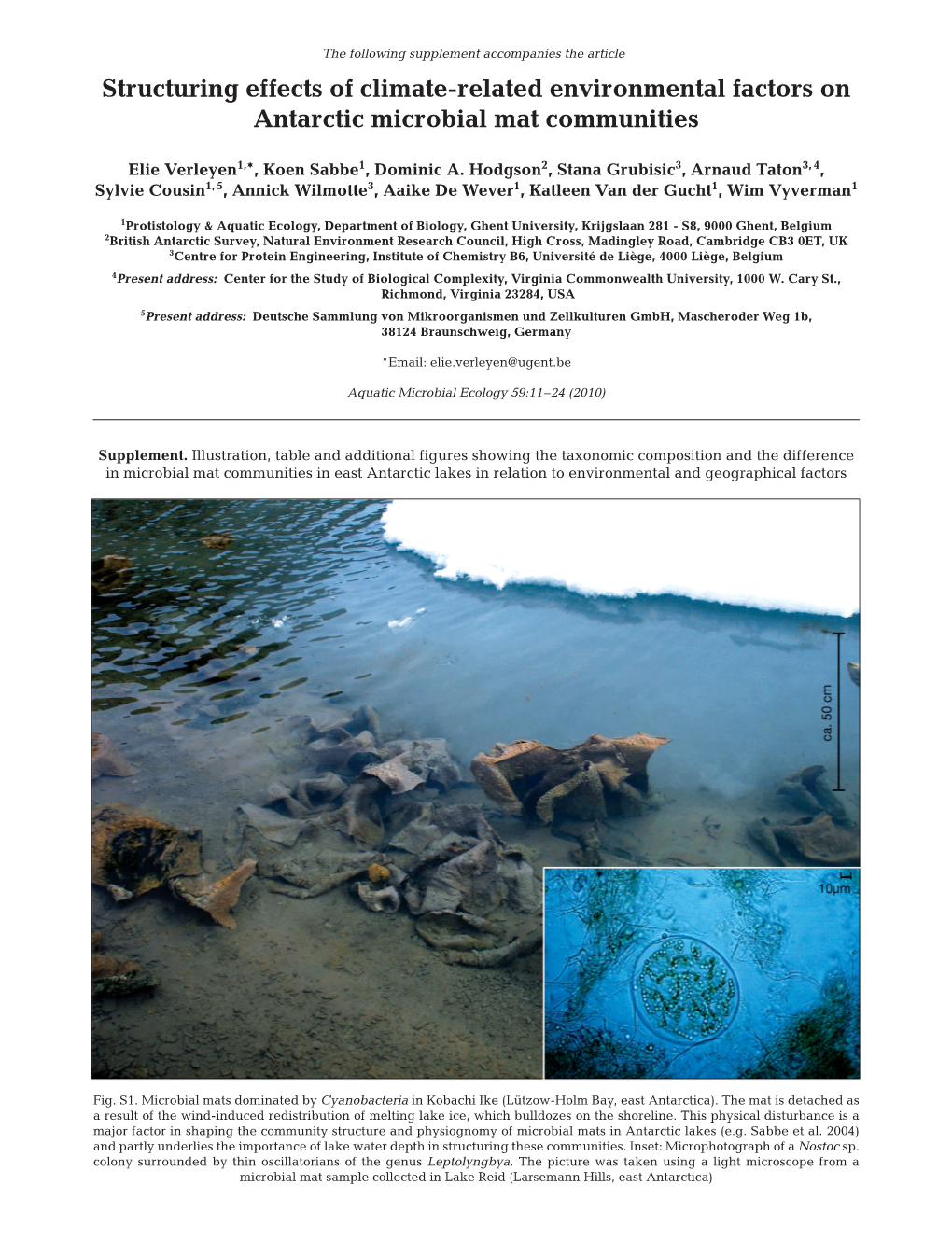 Aquatic Microbial Ecology 59:11–24 (2010)